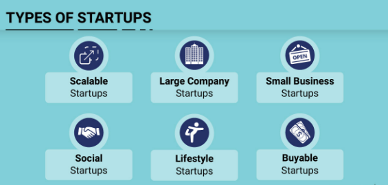 What Are The Different Types Of Startups Business; A Complete Guide For Full Insight